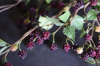 Extra-long-faux-blackberry-stems