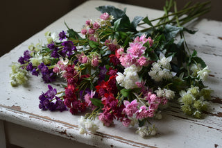 Cottage Garden Astrantia Spray