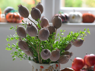 Faux Poppy Seed Pod Bundle – 7 Stems