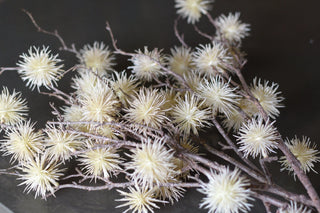 Faux burdock seeds spray in white,yellow and purple colours