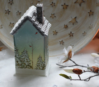 Led Bird Box Lantern