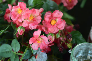 Faux Wild Rose Arrangement in Vintage-Style Jug