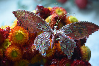 Dried Helichrysum Heart Arrangement