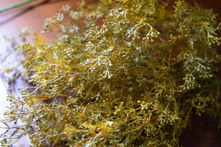 Faux Meadow Grass Stems