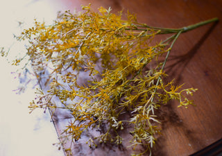 Faux Meadow Grass Stems