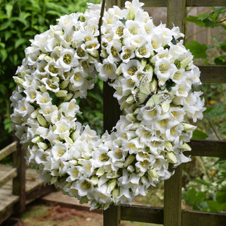 White Bell Flower Wreath