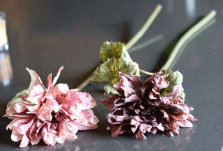 Vintage Dahlias