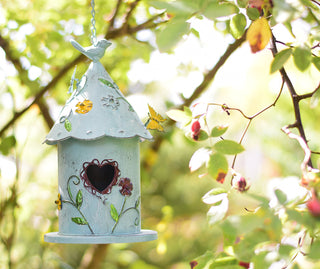 Colourful Bird house
