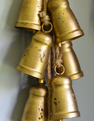 Golden Bells Cluster