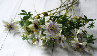 Faux Wild Passion Flower Spray