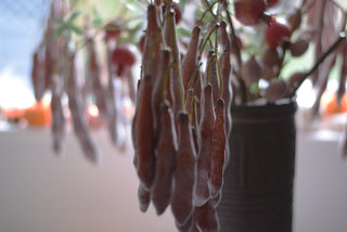 Faux Wisteria-Inspired Seed Pod Branch – 115cm