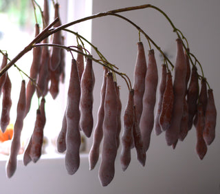 Faux Wisteria-Inspired Seed Pod Branch – 115cm