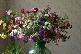 Cottage Garden Astrantia Spray