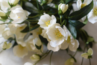 Winter Bloom  Faux Hellebores-White