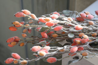 Faux Frosted Rosehips – Oblong shape