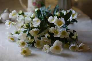 Winter Bloom  Faux Hellebores-White