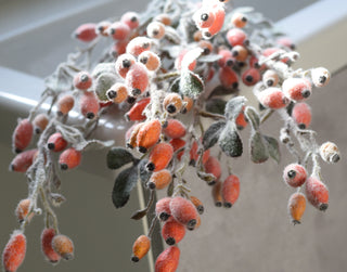 Faux Frosted Rosehips – Oblong shape