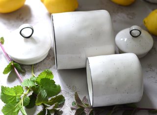 Herbarium Porcelain Storage Jars
