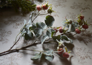 Frost-Kissed Rosehip Spray
