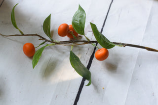 Artificial fruits branches: apples,oranges,lemons