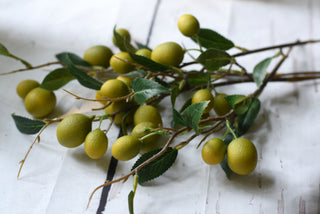 Artificial fruits branches: apples,oranges,lemons