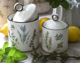 Herbarium Porcelain Storage Jars