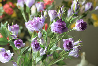 Lavender Lisianthus Spray