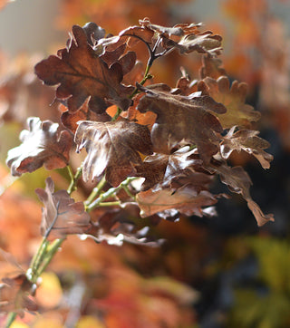 Soft Faux Autumn Oak Leaf Stem – 80 cm