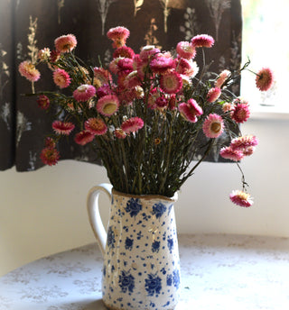 Soft Pink Strawflower Stems