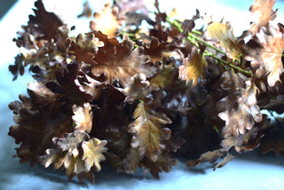 Soft Faux Autumn Oak Leaf Stem – 80 cm