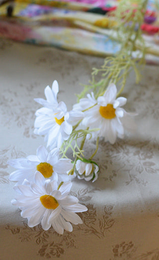 Tall  white daisy stems