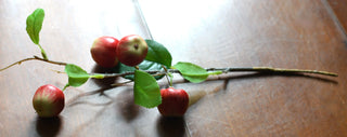 Artificial fruits branches: apples,oranges,lemons