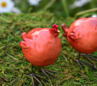 Two Hens & A Secret