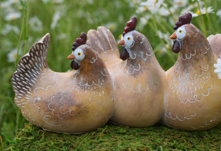 The Farmyard Gossip Club
