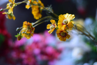 Faux Yellow Coreopsis Stems