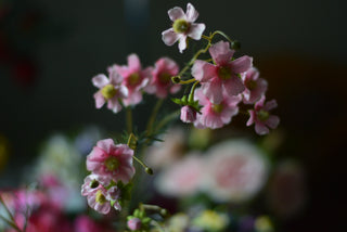 Elegant Faux Pink Cosmos Stems