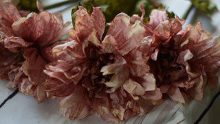 Vintage Faded Dahlia Stems