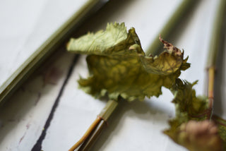 Vintage Faded Dahlia Stems
