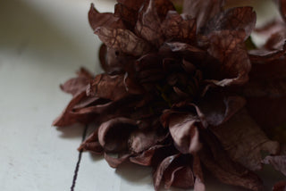Vintage Faded Dahlia Stems