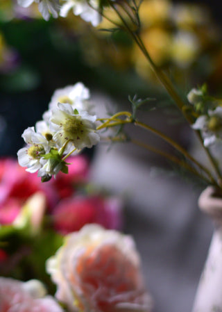 Delicate White Faux Cosmos