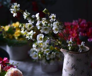 Delicate White Faux Cosmos