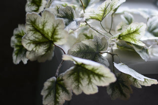 Faux heuchera leaves
