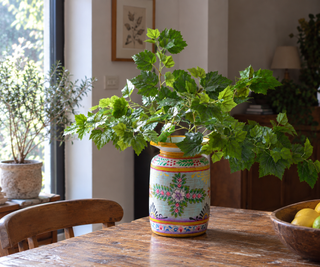 Green Faux Grape Leaf Stem 70cm