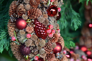 Pinecone Harmony