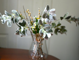 Lambs ears stems