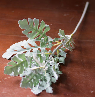 Artificial silver senecio stem