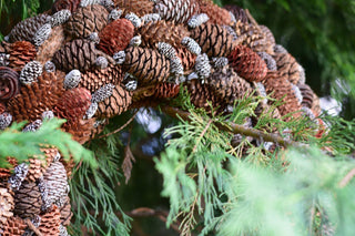 Pinecone Elegance