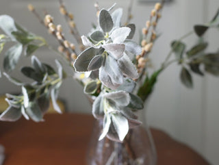 Lambs ears stems