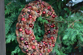 Pinecone Harmony