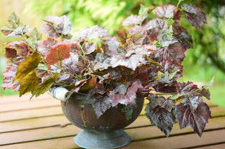 Artificial grape leaves purple